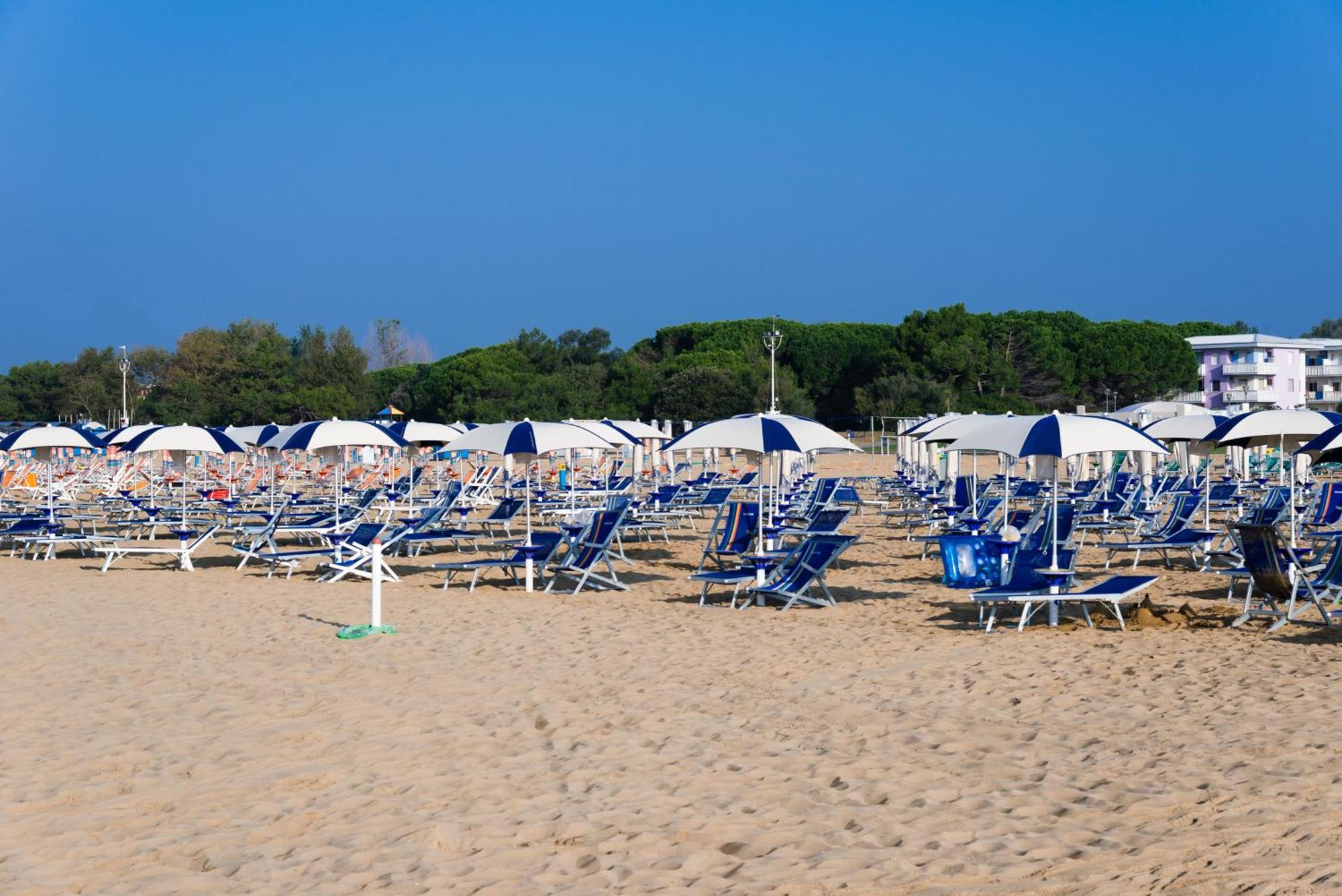 Tuia * Bibione